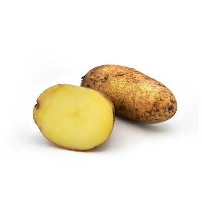 Kartoffel „Moor-Sieglinde“ (5 kg)